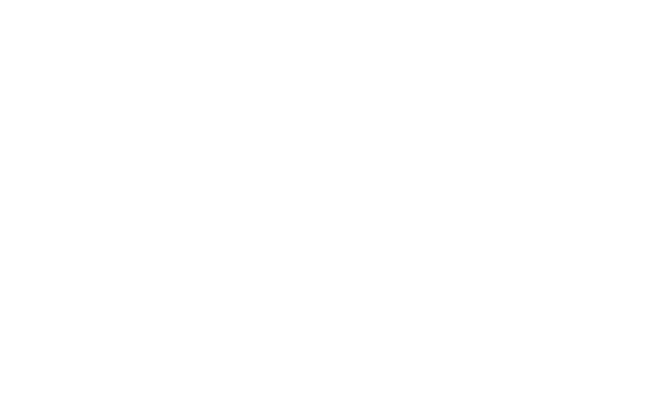 101 Other Level